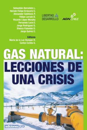 GAS NATURAL: LECCIONES DE UNA CRISIS
