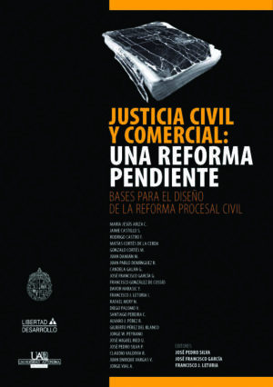 JUSTICIA CIVIL Y COMERCIAL UNA REFORMA PENDIENTE